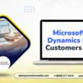 Secure  A Targeted Microsoft Dynamics GP Customers List Email List