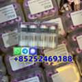 USD 20, Semaglutide (910463-68-2): Revolutionizing Weight Loss Management