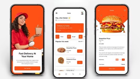 Ahmedabad, Web Design & Development, Expert Android App Development Company In India | Palm Infotech