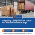 Shipping Companies In Dubai For Reliable Global Cargo