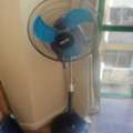 BHD 8,  Fan