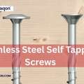 Stainless Steel Self Tapping Screws &ndash; Durable & Reliable