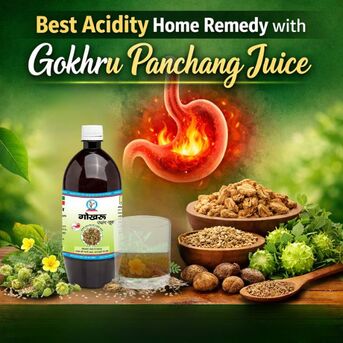 Haryana, Health & Beauty Items, INR 580,  Best Acidity Home Remedy With Gokhru Panchang Juice By Bharat Gram Udyog Sangh
