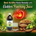 INR 580,  Best Acidity Home Remedy With Gokhru Panchang Juice By Bharat Gram Udyog Sangh