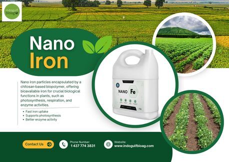 New York, Farm & Garden, USD 100,  Stable Nano Iron For Better Photosynthesis | IndoGulf Bioag &ndash; Get Details