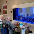Compassionate Hospice Orange County NY Care By Hospice Of Orange & Sullivan Counties