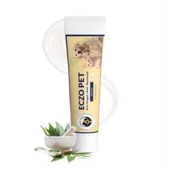 Gurgaon, Pet Sitting, From Itch To Relief In Just A Few Applications