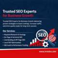 Trusted SEO Specialists For Business Success