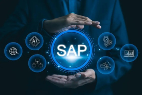 Indore, Business, SAP Development Company