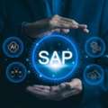 SAP Development Company