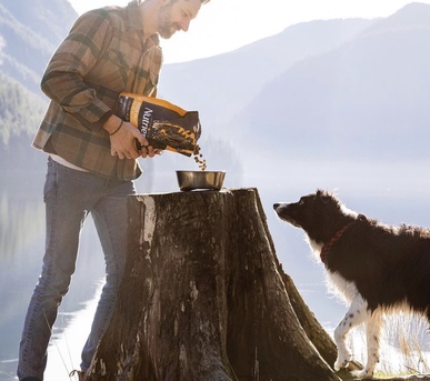 Mumbai, Pet Supplies, Dog Food For Sensitive Stomach Dogs