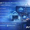 Managed IT Service Providers Gauteng | Cloud & IT Support Solutions