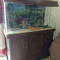 BHD 80,  Fish Tank With Filter