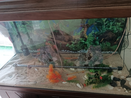 Manama, Pet Supplies, BHD 80,  Fish Tank With Filter