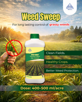 Hyderabad, Farm & Garden, INR 500,  Protect Crops With Commonly Used Fungicides | NACL Industries