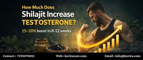 Noida, Health & Beauty Items, INR 3499,  How Much Does Shilajit Increase Testosterone ?