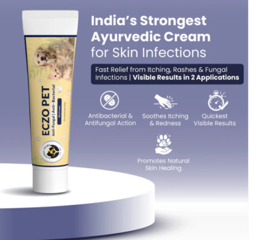 Gurgaon, Pet Sitting, Warning: Your Dog Might Be Itching In Silence