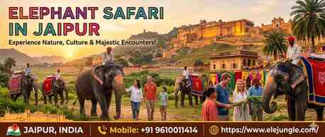 Jaipur, Travel, Elephant Safari In Jaipur
