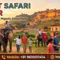 Elephant Safari In Jaipur