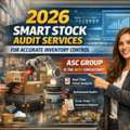 Professional Stock Audit Services For Inventory Accuracy