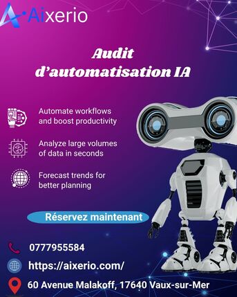 Paris, Business, Audit D&rsquo;automatisation IA