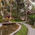 Ayurvedic Healing Village Kerala - Kairali Authentic Ayurveda Retreat