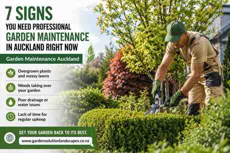 Auckland, Farm/Garden, 7 Signs You Need Professional Garden Maintenance In Auckland Right Now