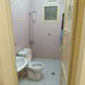 SAR 1600/month,  Furnished,  1 BR,  1 BHK Flat Available For Rent @1600 SAR Per Month For 6 Months