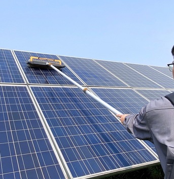 Southampton, Household, Protect Solar Panels With Pigeon Proofing Southampton