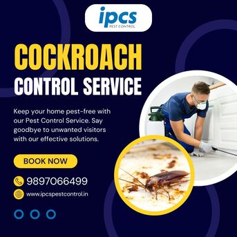 Mumbai, Pest Control, Best Cockroach Control Service In Bareilly