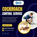 Best Cockroach Control Service In Bareilly