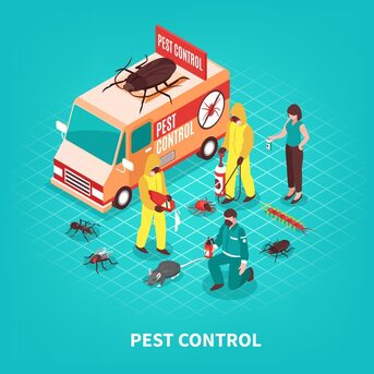 New York, Pest Control, Affordable Pest Control In Irvine | Fast & Reliable Service