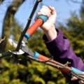 Tree Pruning West Pymble | North Shore Tree Loppers