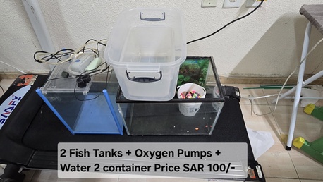 Al Khobar Al Shamalia, Pet Supplies, SAR 100,  Fish Tank