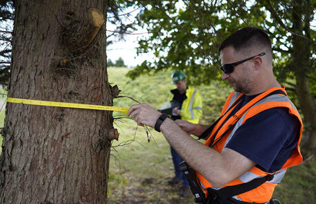 Sydney, Farm/Garden, Reliable Tree Services Newcastle