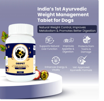 Gurgaon, Pet Sitting, Your Dog Doesn&rsquo;t Need A Diet. It Needs A Reset.