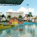 Master The Water With Professional Swimming Classes In Singapore