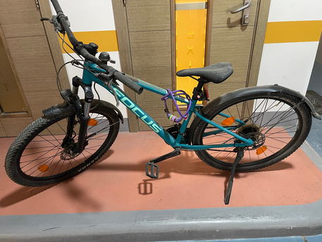 Manama, Bicycles, BHD 75,  FOCUS WHISTLER MTB &ndash; German Brand
