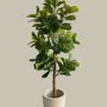 Artificial Plants