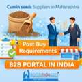 Cumin Seeds Suppliers In Maharashtra