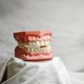 Transform Your Smile With A Cosmetic Dentist In Palmdale