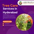 Tree Care Services In Hyderabad