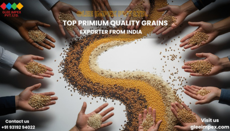 Mumbai, General, Premium Grains Export From India By Glee Impex