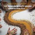 Premium Grains Export From India By Glee Impex