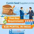 Cumin Seed Suppliers In India