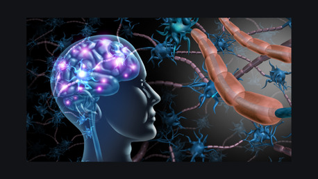 New York, Health & Beauty Items, Neurosalt: The Power Of Minerals In Brain Function