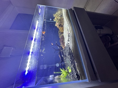 Riyadh, Pet Supplies, SAR 1000,  Aquarium