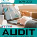 Audit Analysis