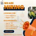 Hiring - Crane Operators & Riggers