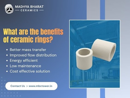 Bhopal, Business, Top Ceramic Ring Manufacturer For Reliable Packing